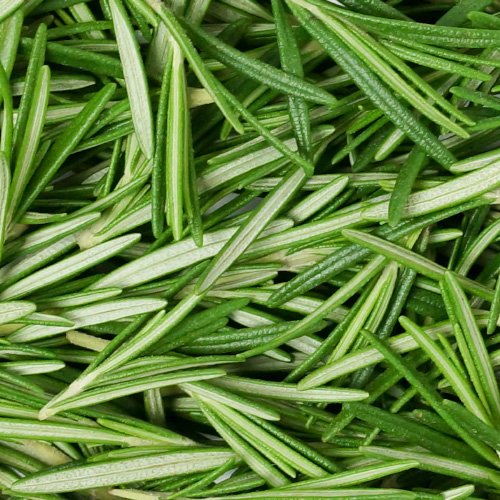 rosemary